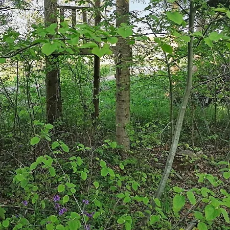 5 Person In * Vordingborg